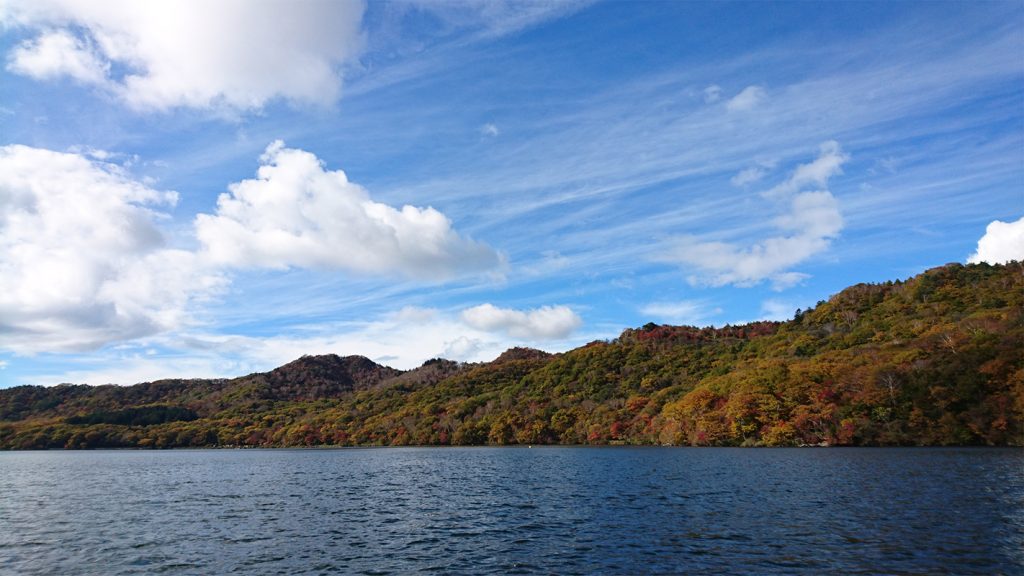 大沼湖上ボートからの湖畔風景