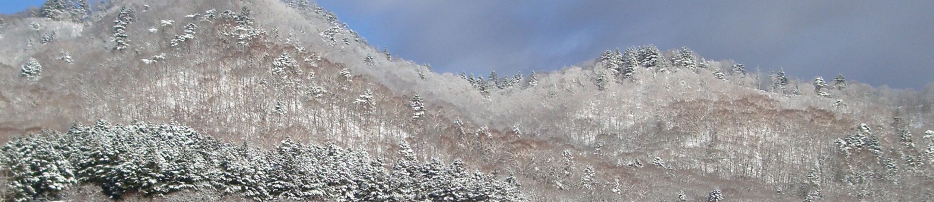 冬山の様子