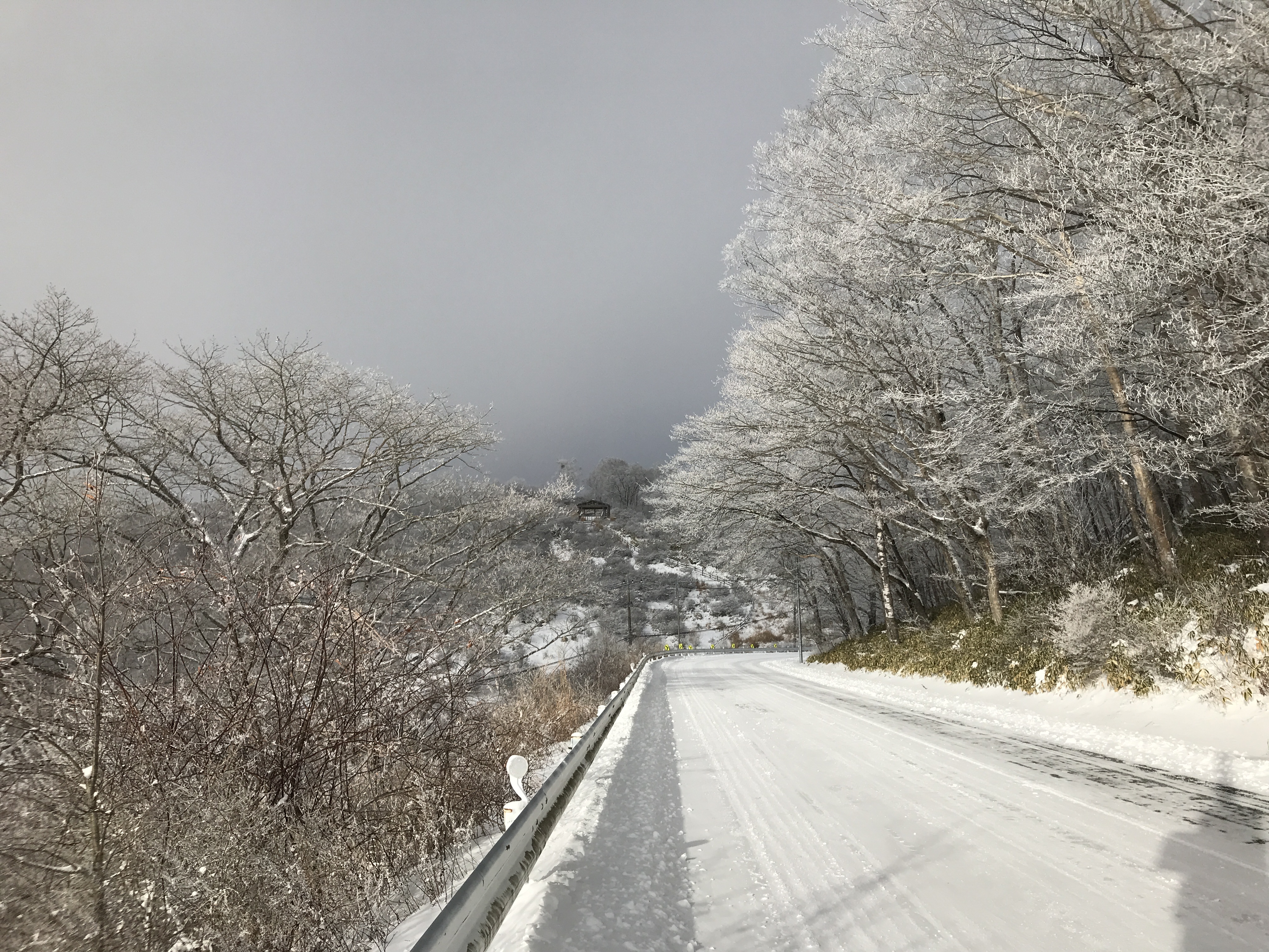 赤城山25ｃｍ程の積雪で 冬タイヤが必要です そり遊びが可能になりました 青木旅館